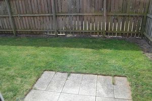 Brookfield West Allotment